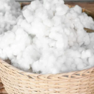 Cotton