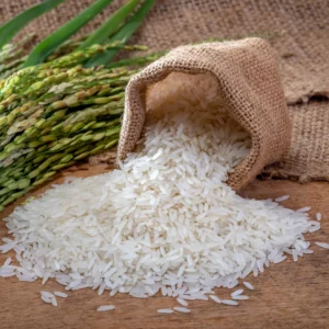 Rice